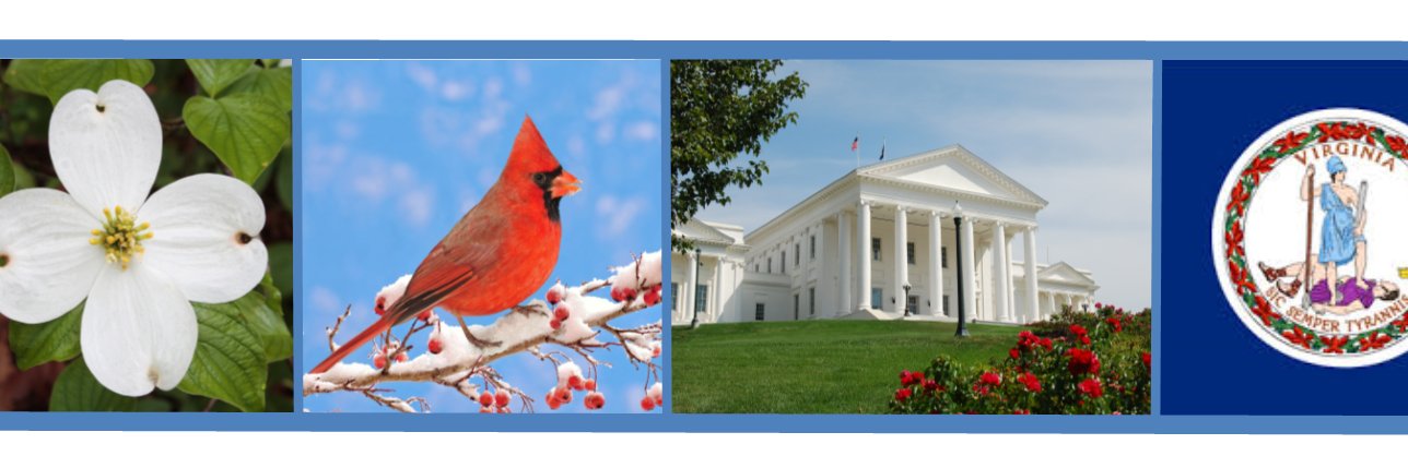 Virginia APA banner