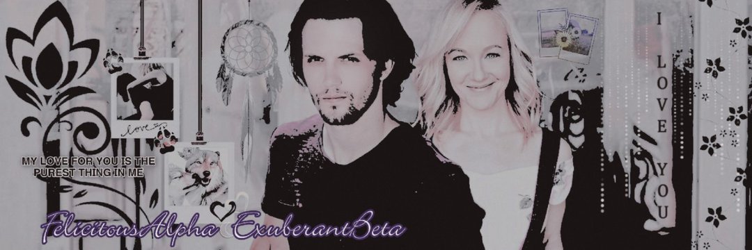 𝓗𝒆𝒓 𝓐𝒍𝒑𝒉𝒂 𝓦𝒐𝒍𝒻𒑊☾ «parody» banner