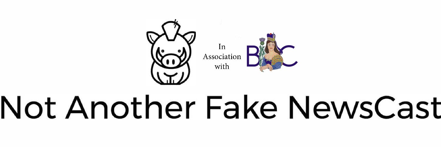Not Another Fake NewsCast banner