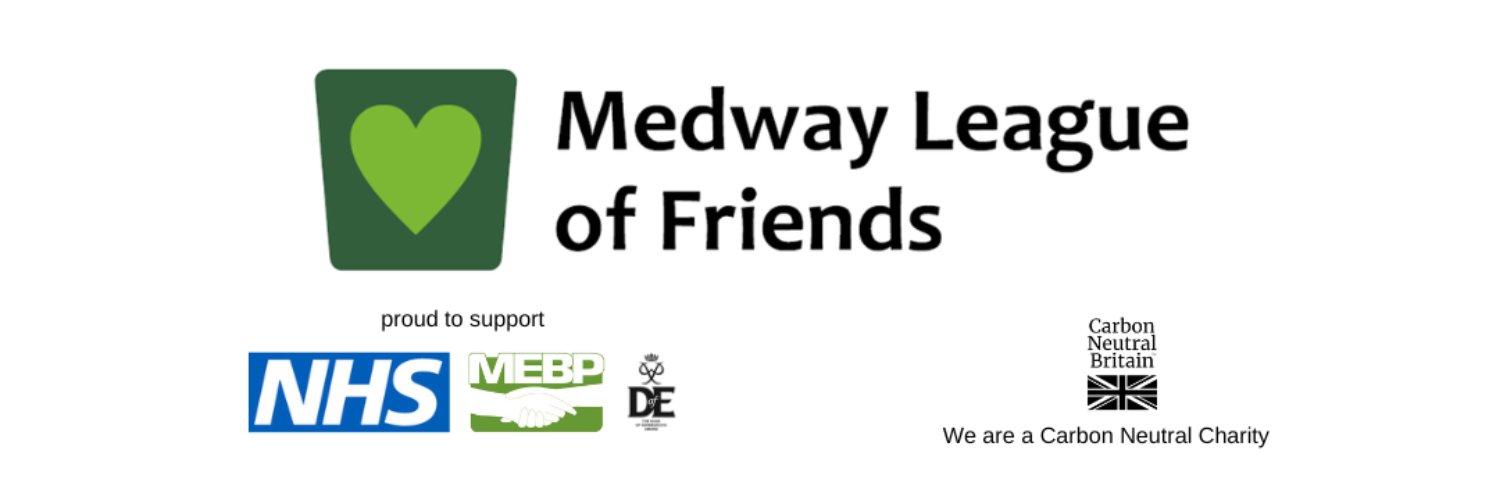 LeagueOfFriends banner