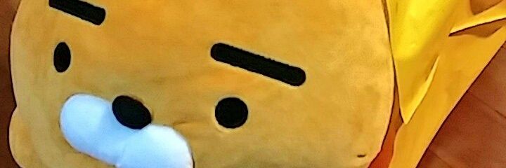 hingimnida_DSK's profile banner image