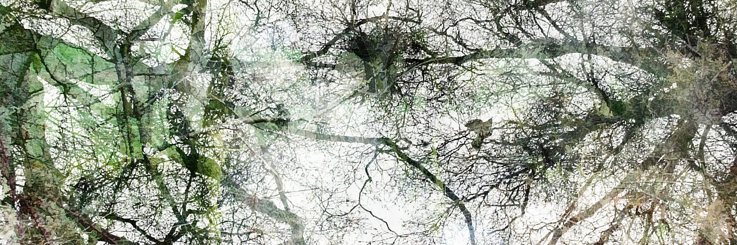 David Hargreaves banner