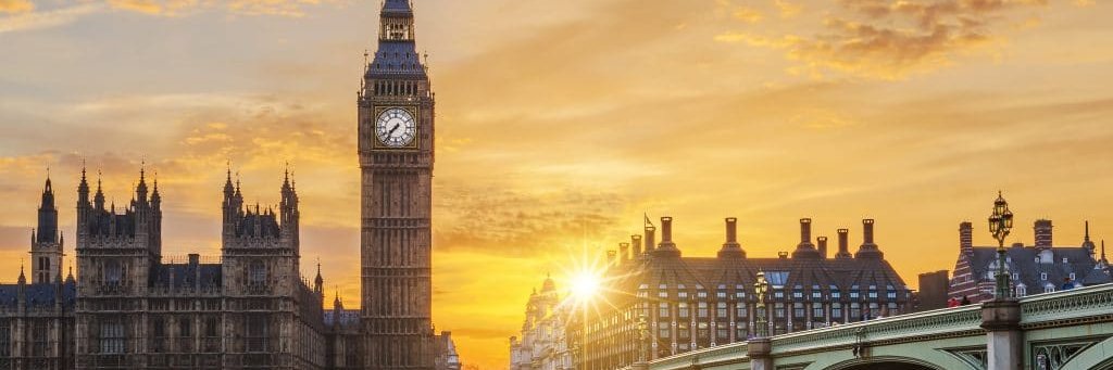 dmbird946's profile banner image