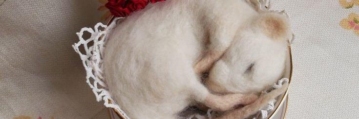 mrs_plop's profile banner image