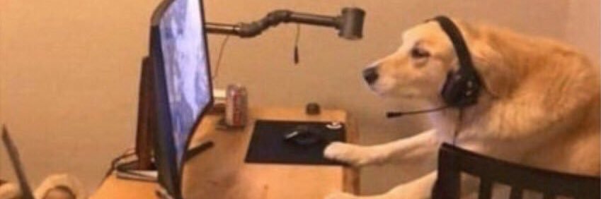 Marques. 🔸♦️ banner