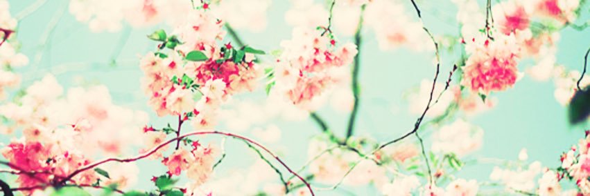 FayeH7's profile banner image
