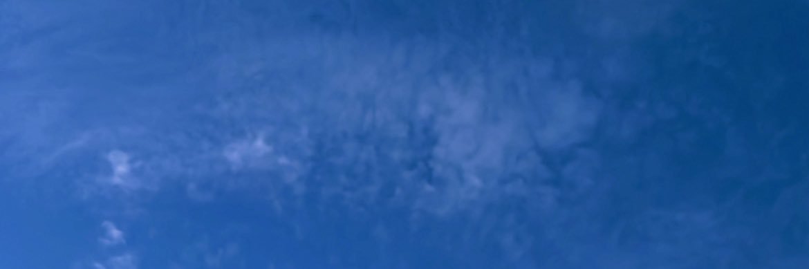 น้องต่ายยยย 🐰 banner