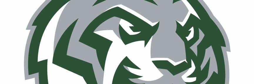 WilsonHSDCAthletics banner