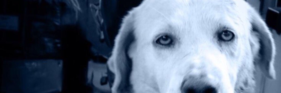 tuncturk's profile banner image