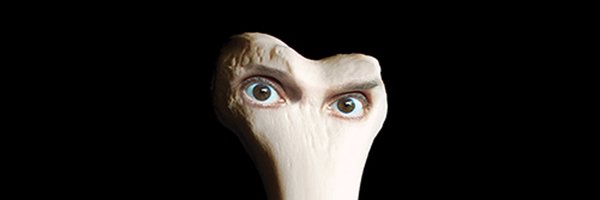 soyjuanamolina Profile Banner