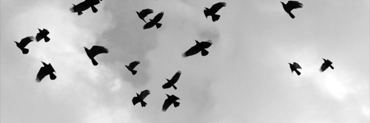 aaeshals's profile banner image