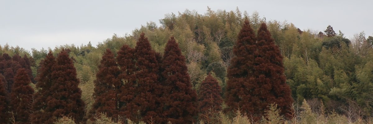 ttomohiro0730's profile banner image