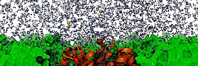 LutimbaStuart's profile banner image