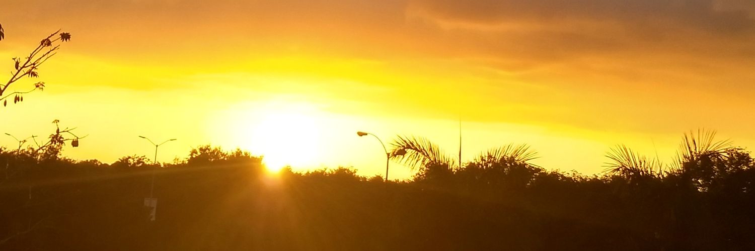 Rosario Ruiz Candury banner
