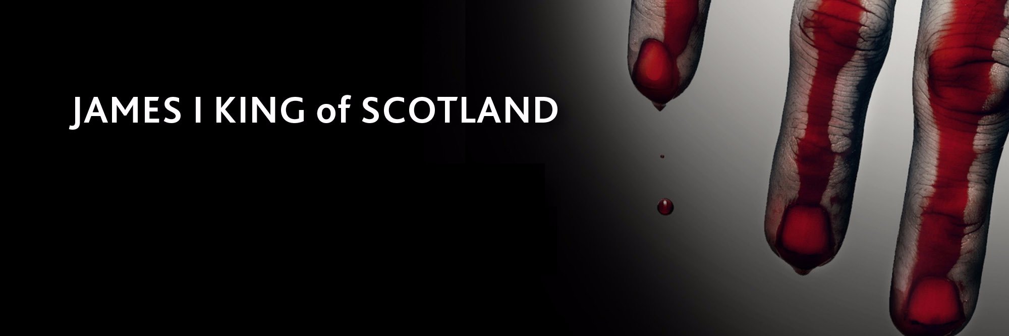 James I of Scots banner