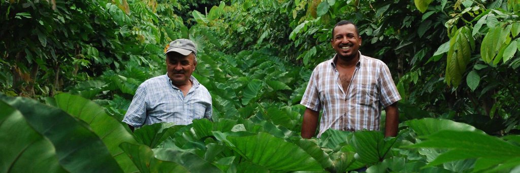 The Inga Foundation banner
