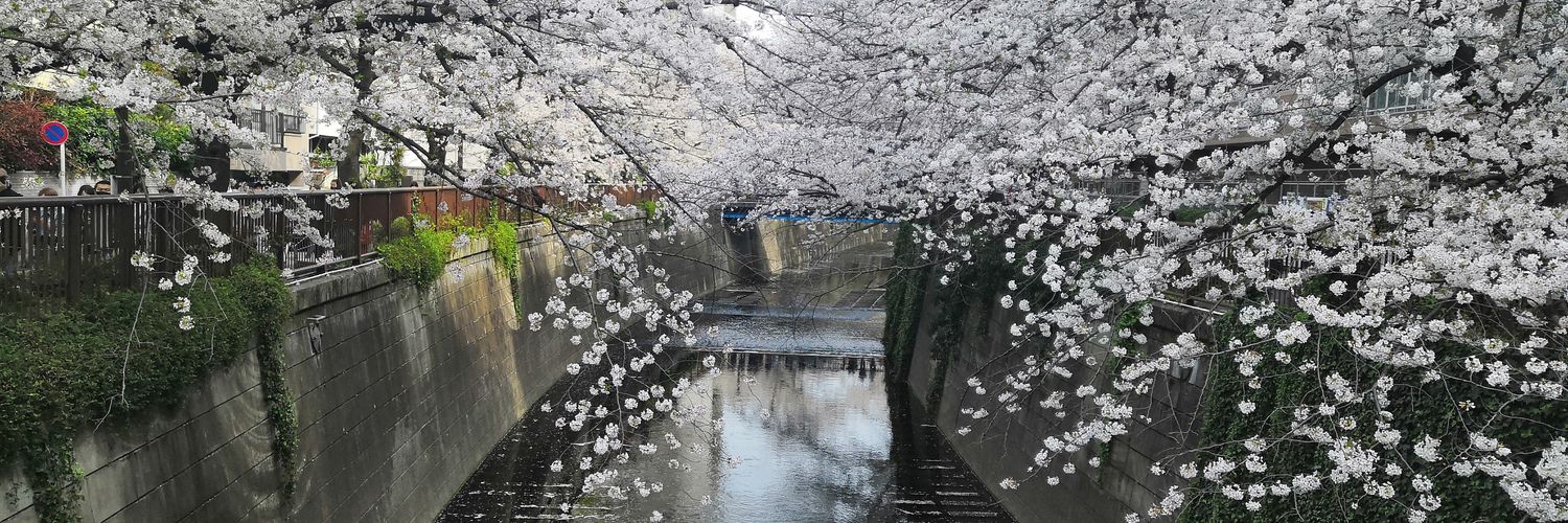 Royshadow banner