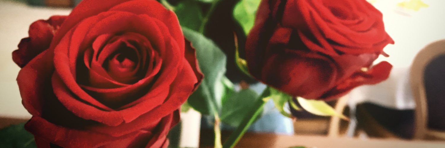 flowdubatow's profile banner image