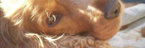Maria Del Carmen R M banner