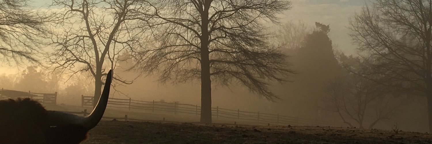 Bo_SawKY's profile banner image