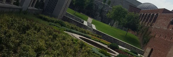Zalmuaber Profile Banner