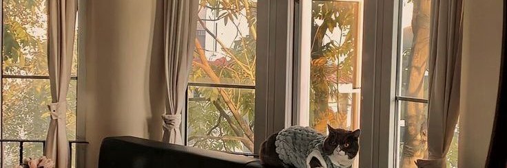 gdoustp's profile banner image