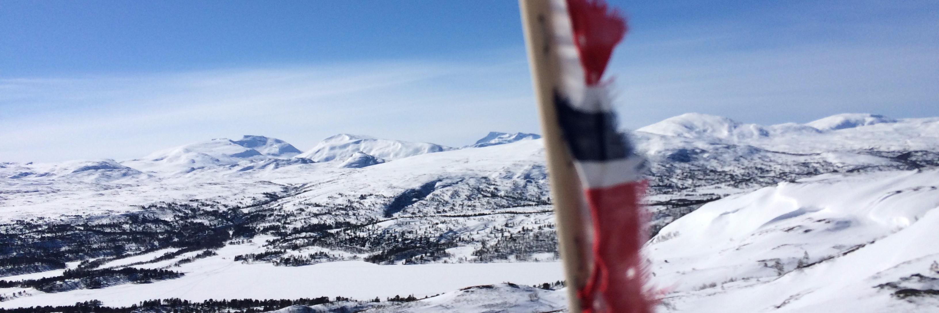 LeinPenny's profile banner image