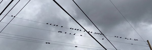 letmode Profile Banner