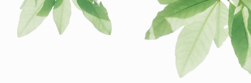abethsiagian's profile banner image