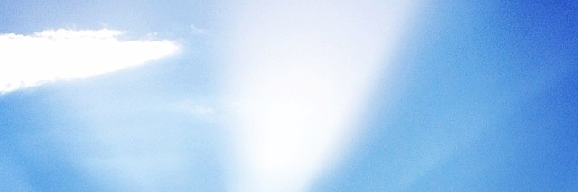 TurtleInaPartyD's profile banner image