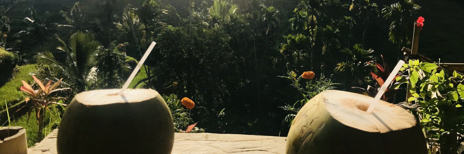 Nicaragasy's profile banner image