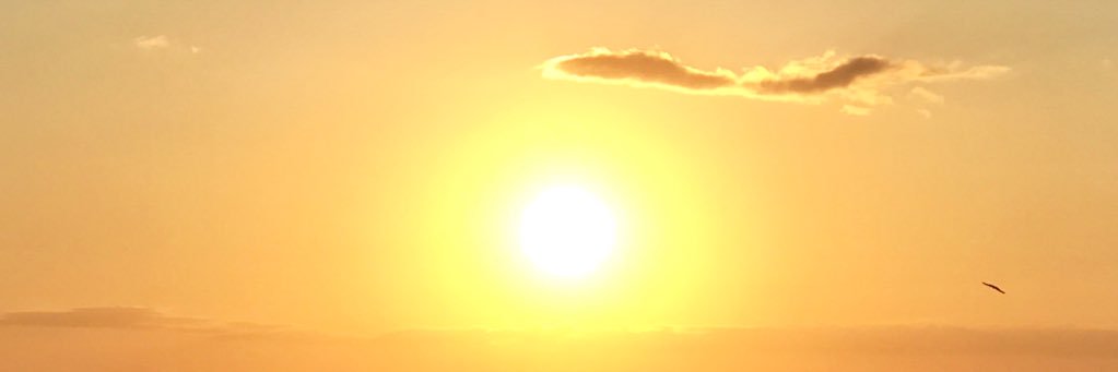 SunbeamLinda's profile banner image