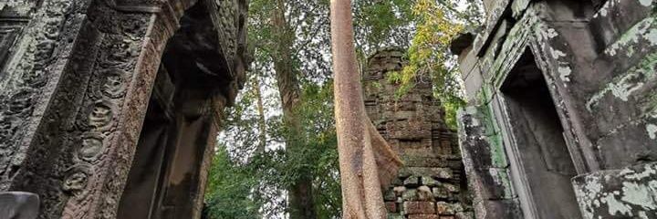 Frédéric Olive banner