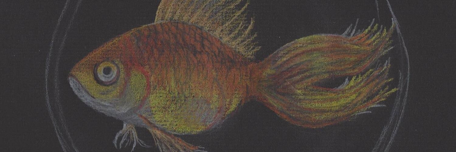 ericarozema's profile banner image