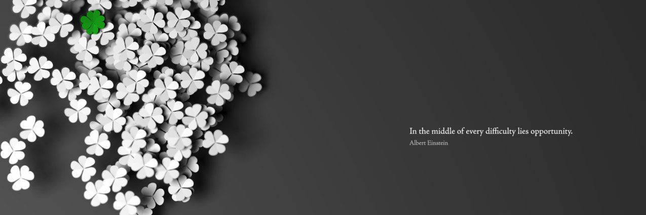 Dawn_Lang's profile banner image