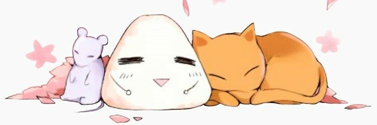 ~Soft Orange Kitty~ banner