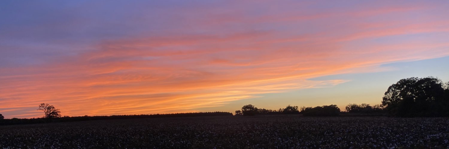 knicoleeh's profile banner image
