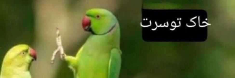 تراگ‌شیشت banner