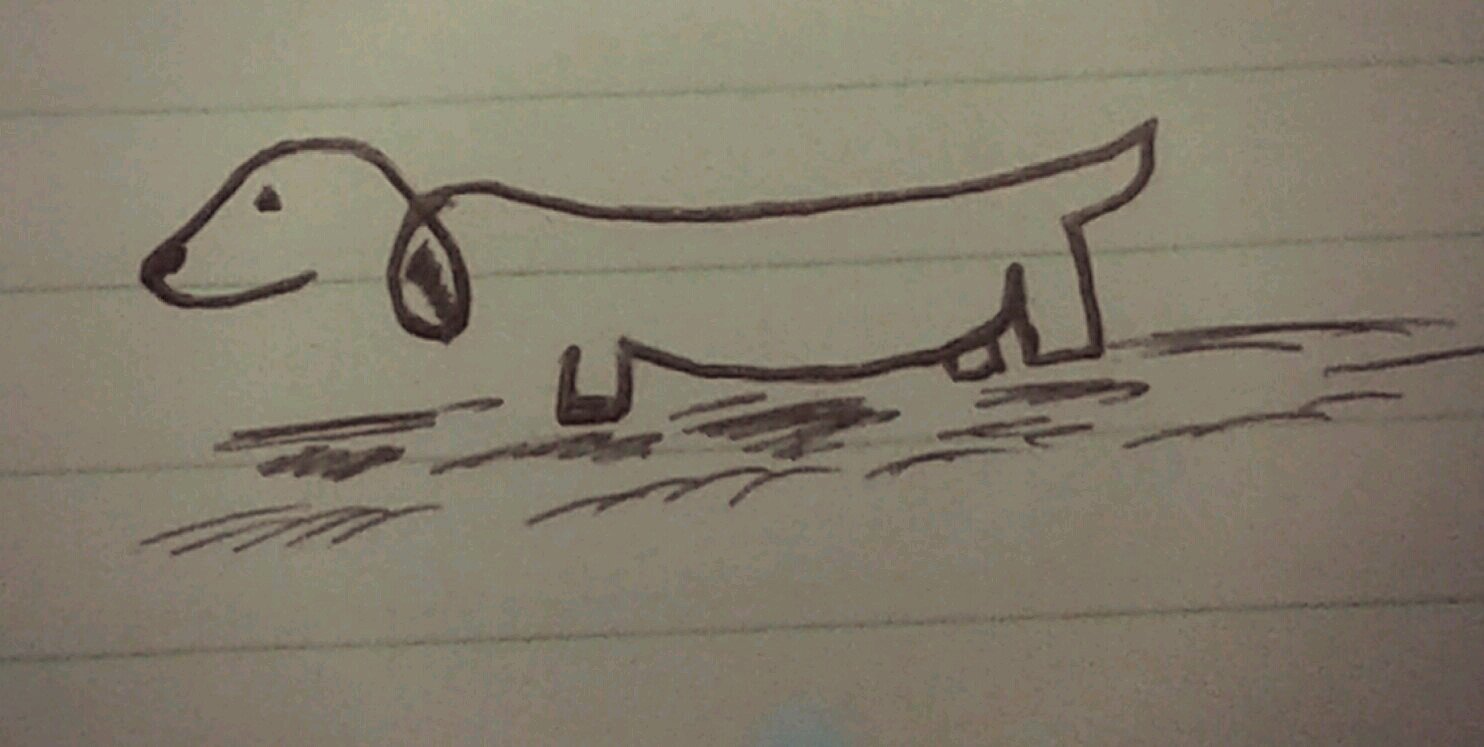 MaziSol's profile banner image