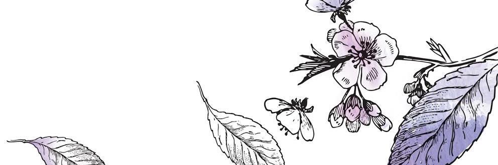 AnnaMitsios's profile banner image