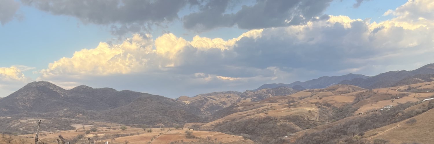 2xchin0's profile banner image