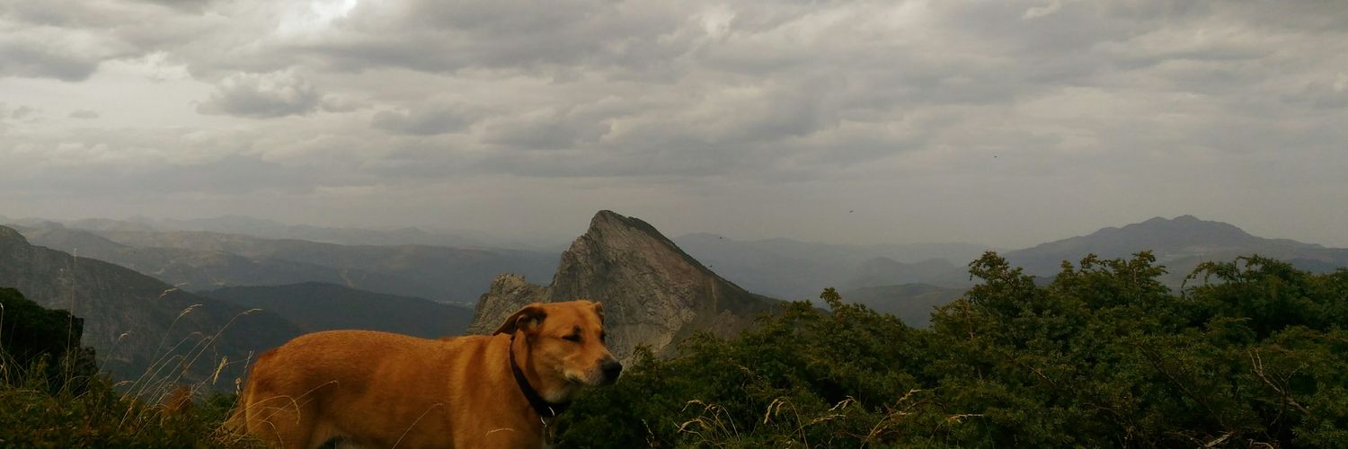 roger_escarre's profile banner image