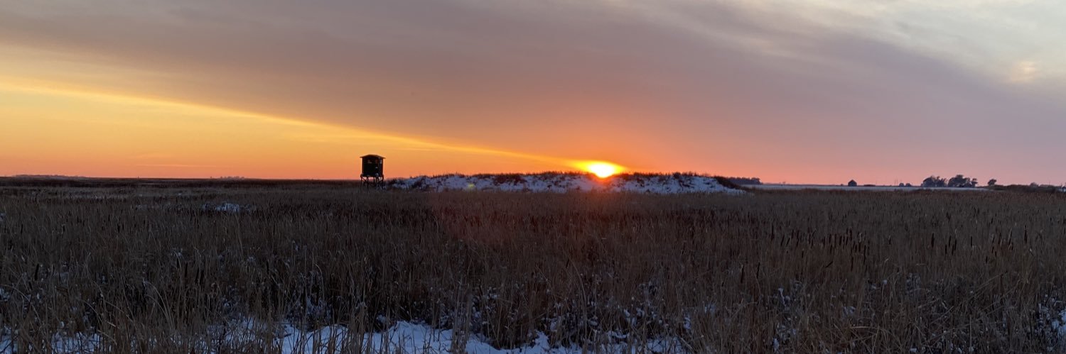 AllisonHeitmann's profile banner image