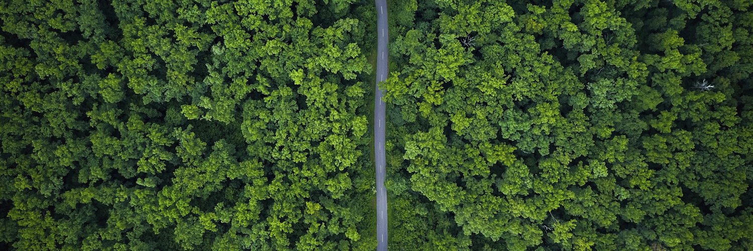 Skogsstyrelsen banner