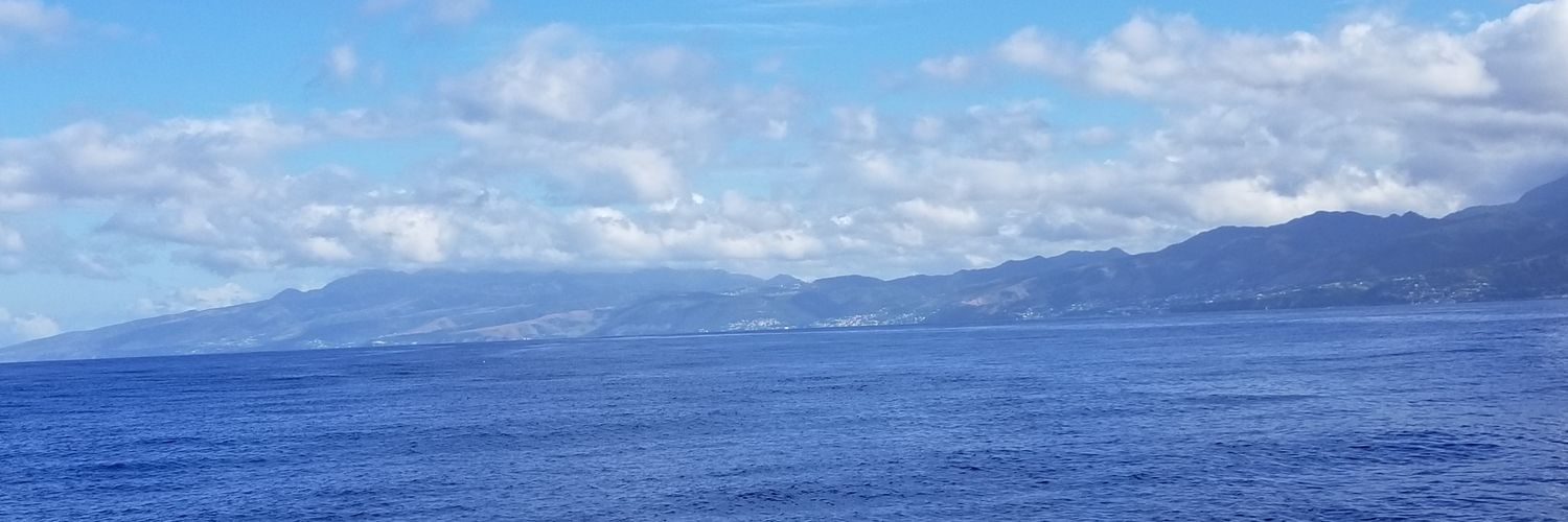 brownx4's profile banner image