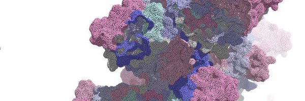 Ashleigh_Kropp Profile Banner