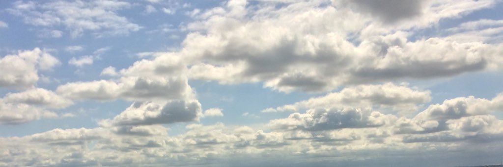 whaledone1's profile banner image