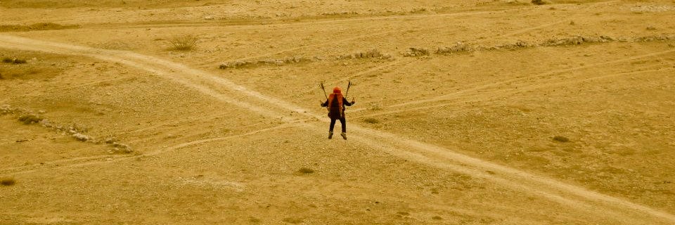 sehrishaks's profile banner image