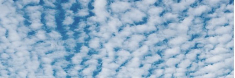 sabrinacoutrin's profile banner image