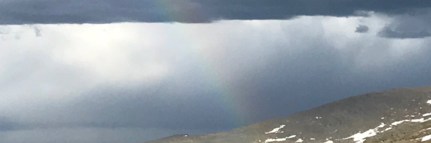 Mitchell Brown banner